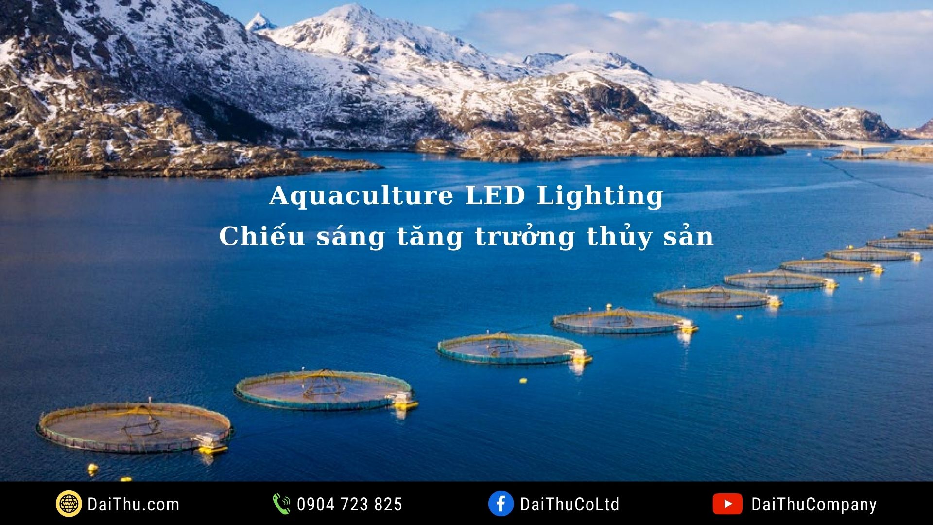 Aquaculture LED Lighting - Đèn thủy sản - Đèn hải sản - Chiếu sáng tăng trưởng thủy sản - Pacific Led Philips - Fish Lights Philips - Agri Led Lighting - Led Grow Light