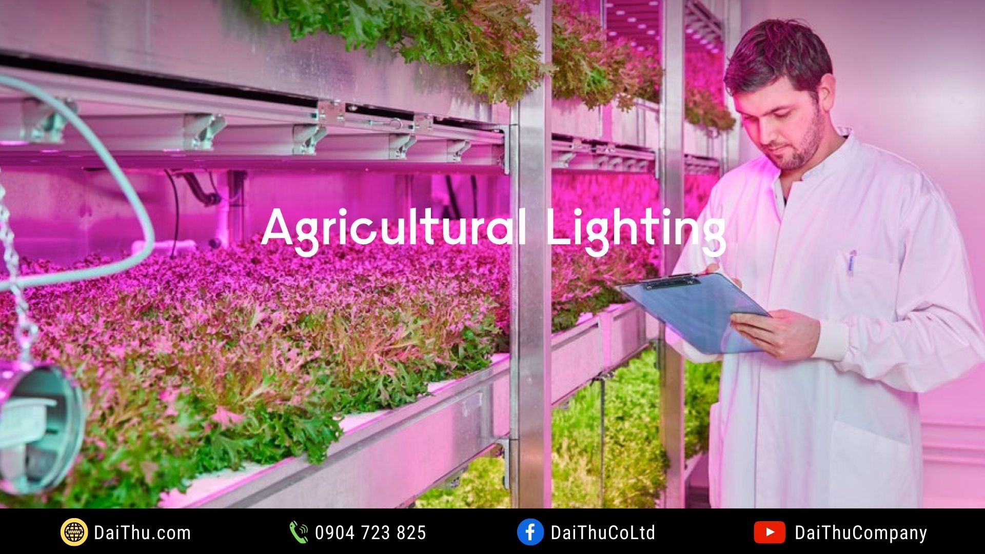 Đèn Led nông nghiệp - chiếu sáng nông nghiệp - Chiếu sáng trồng trọt - Green Power Led Lighting Philips - Horticulture Led Lighting - Agri Led Lighting - Led Grow Light